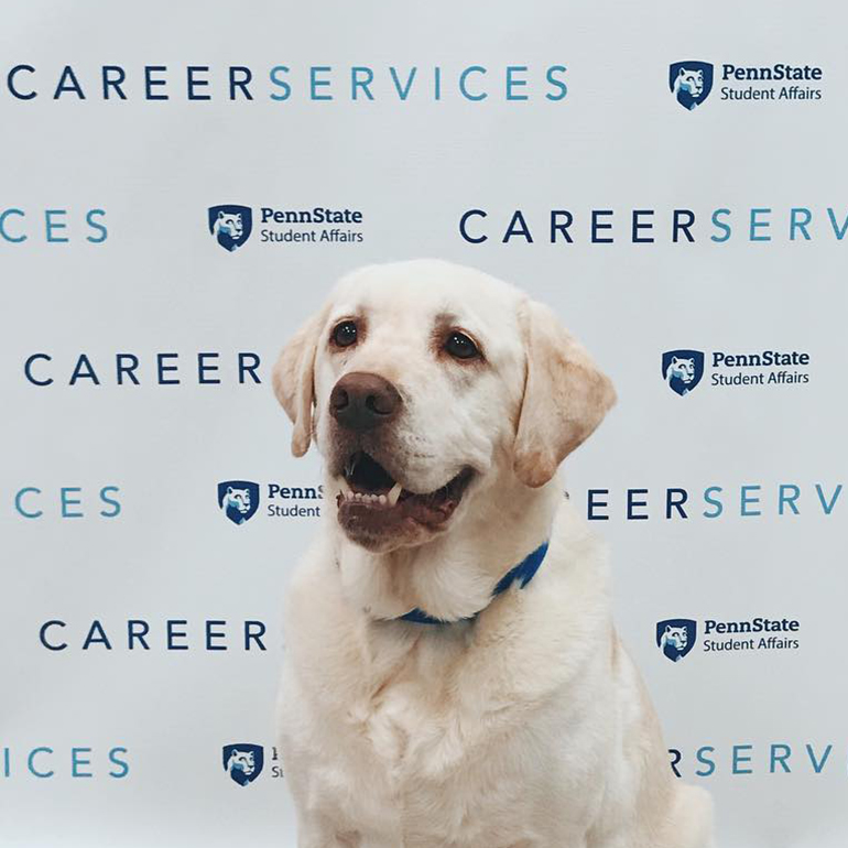 Labrador in front of Career Services sign